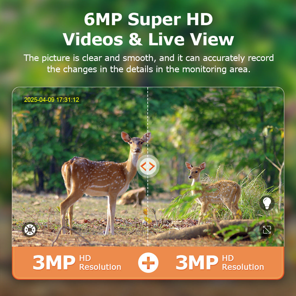 Cámara solar camuflada HD 6MP con visión nocturna y bajo consumo 4G